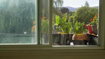 rain falling on balcony, home window view of potted plants and trees video