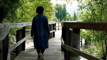a woman walking on a wooden bridge over a lake video