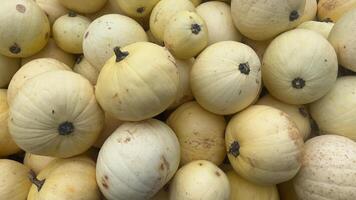 A close-up image showcasing a collection of yellow winter squash, highlighting their smooth, rounded forms and subtle imperfections photo