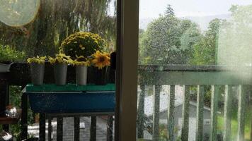 une vue de pluie chute sur balcon avec mis en pot les plantes et une fenêtre video