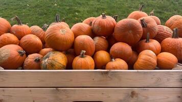 An assortment of pumpkins of various sizes and shapes are stacked in a wooden crate photo
