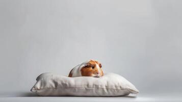 A cozy guinea pig rests comfortably on a soft, stylish pillow, enjoying its tranquil surroundings in a minimalist environment, showcasing comfort and relaxation photo