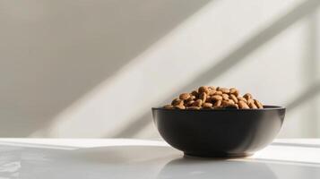 A sleek ceramic bowl brimming with gourmet cat food sits on a bright table, illuminated by soft sunlight filtering through the window, creating a calm atmosphere photo