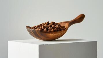 Natural dog food is neatly arranged in a handcrafted wooden scoop, showcased on a minimalist white pedestal under bright lighting photo