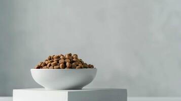 A modern bowl filled with dog food rests atop a simple pedestal in a contemporary indoor space, emphasizing sleek design and pet care photo