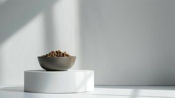 A contemporary bowl filled with dog food sits elegantly on a simple pedestal, illuminated by gentle natural light filtering through the space, creating a serene atmosphere photo