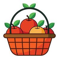 Basket of apples vector
