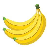 A bunch of bananas on a white background vector