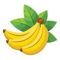 Bananas with leaves on a white background vector