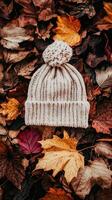 A knitted hat rests on a blanket of colorful autumn leaves, creating a cozy atmosphere photo