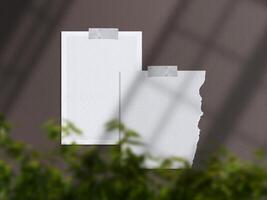 Realistic 3D blank photo frames, film, texture, ornament, torn paper glued textures and tape moodboard mockup. Grunge texture background with leaves and windows shadow overlay illustration