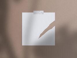 Realistic 3D blank photo frames, film, texture, ornament, torn paper glued textures and tape moodboard mockup. Grunge texture background with leaves and windows shadow overlay illustration