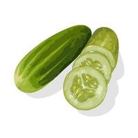 Illustration of cucumber with slices, isolated on white background. vector