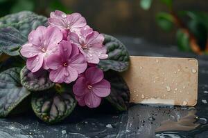 Violet African Violets with Dew and Natural Soap on Slate Background for Natural Skincare Design photo