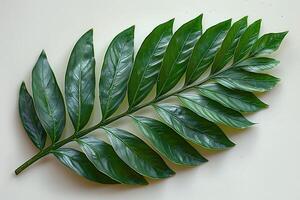 Tropical Greenery Realistic Artificial Leaf for Nature-Inspired Decor and Design photo