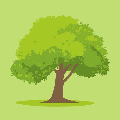 illustration of an oak tree in the park