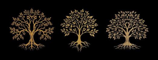 oak tree with leaves on the branches and roots vector