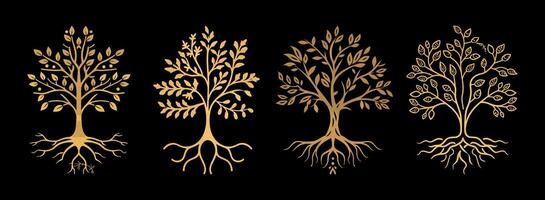 oak tree with leaves on the trunk and roots vector