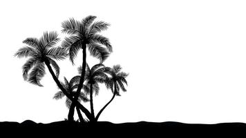 A group of palm tree silhouettes transparency for the background vector