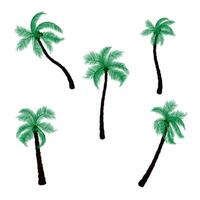 A group of palm tree transparency background vector