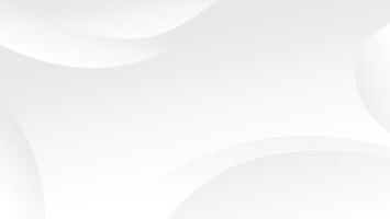 abstract white graphic curve line background vector
