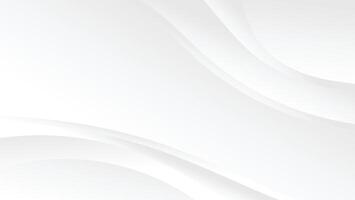 abstract white dynamic line background vector