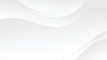 abstract white curve line background vector