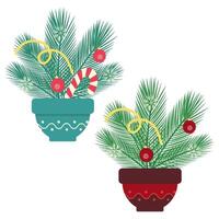 striped Candy Cane, Serpentines, snowflakes and Christmas pine twig in flower pot. New Year bouquet Set of 2 Isolated Compositions. Cards, posters, banners, brochures, label or web illustration vector