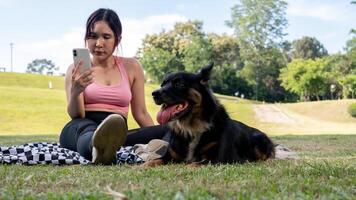 A beautiful dog with dark fur is relaxing with its owner after a run in the park on a sunny day. photo