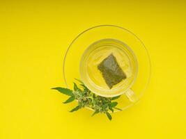 Top view of cannabis tea in a teacup and marijuana buds flower isolated on a yellow background photo