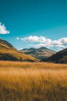 landscape in autumn, vertical backgrounds for poster, banner or flyer photo