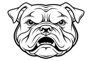 illustration of a bulldog head vector