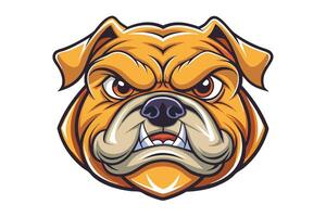 An angry bulldog head on a white background vector