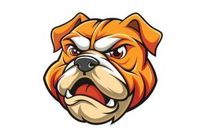 An angry bulldog mascot head on a white background vector