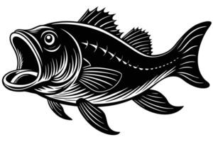 A black and white drawing of a bass fish vector