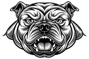 The head of an angry bulldog dog vector