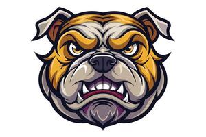 An angry bulldog head on a white background vector