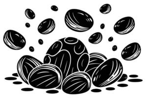 Black and white illustration of shells and nuts vector