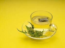 Cannabis tea in a teacup and marijuana buds flower isolated on a yellow background photo