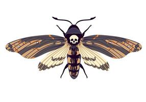 flying butterfly. Hawk moth Dead head . Symbol of mysticism, occultism, magic. Colored moth on a white background. vector