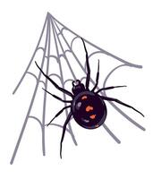 Spider black widow Latrodectus occidentalis hangs on the web. Black spider with red spots in flat style. Dangerous poisonous insect on a white background. illustration for Halloween. vector
