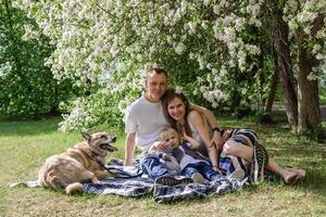 Family with dog is relaxing on a blanket in park with white flowering trees and enjoying sunny day. photo