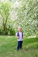Happy little boy is walking in apple garden on sunny day, surrounded by trees and red apples. photo
