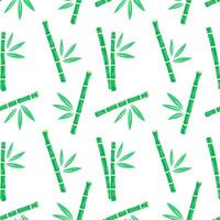 Bamboo green sticks pattern with leaves on white background vector