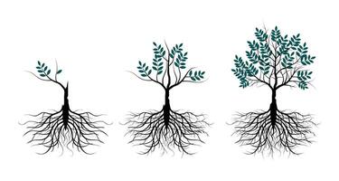 Tree and roots illustration isolated on white background for background design. vector