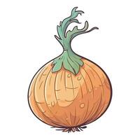 An onion is shown in a cartoon style vector