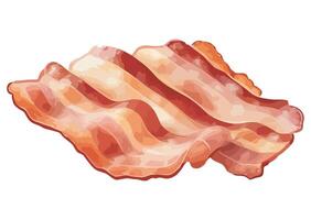 Bacon slice on white background vector