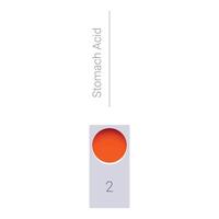 Stomach acid level measuring scale showing high acidity vector