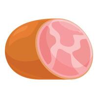 Big piece of ham isolated on white background vector