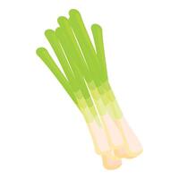 Fresh lemongrass stalks lying on white background vector
